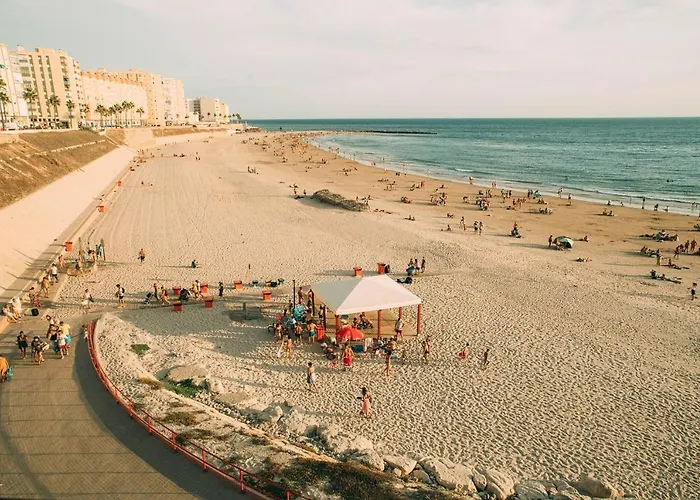 No 14 Cadiz